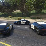 Pfister SAHP Pack [Add-On | Template] 1.0