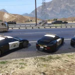 Pfister SAHP Pack [Add-On | Template] 1.0