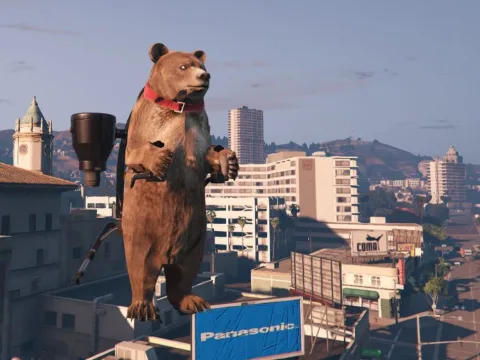Bear doll