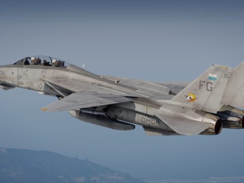 F-14D Tomcat Ace Combat Pack [Add-On] 1.0