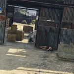 GTA Online Survival Maps [Menyoo] 1.0