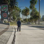 Grand Theft Auto Palms (GTA Remastered) (Add-On) 0.1