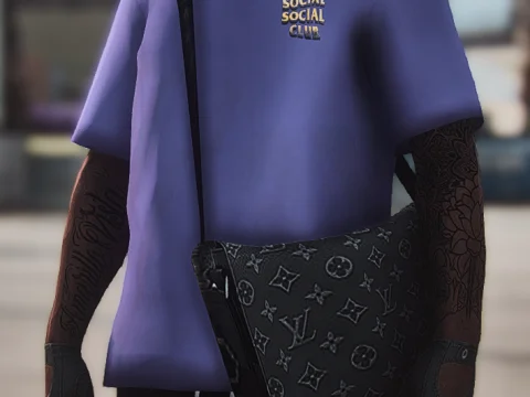 LV Handbag 1.0