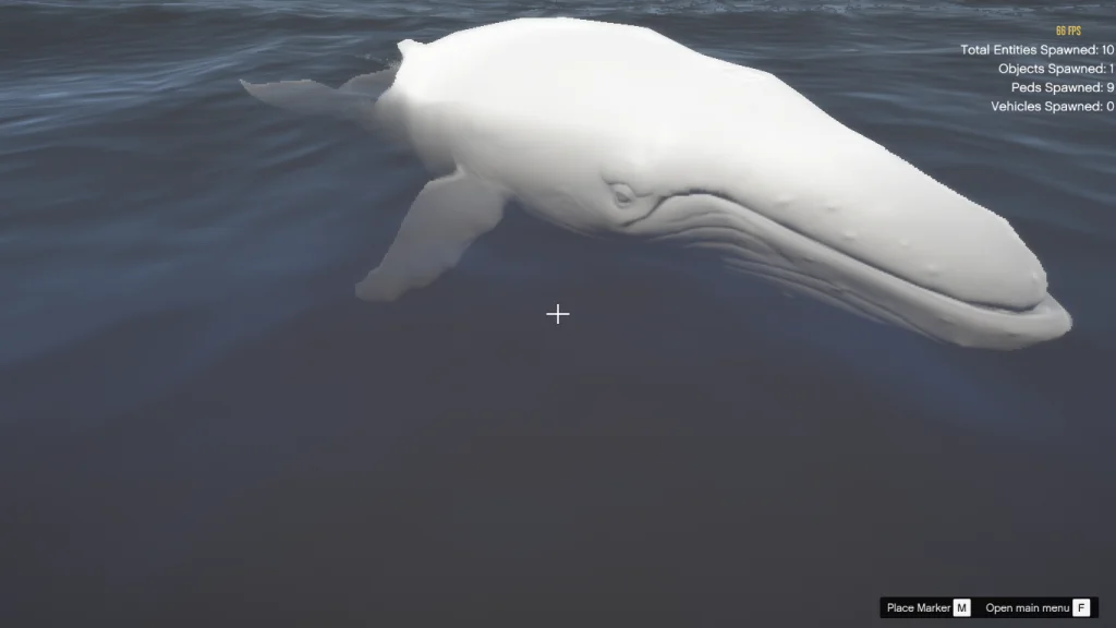 Migaloo 1.0