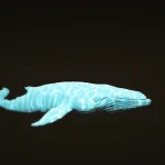 Migaloo 1.0