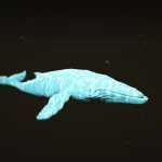 Migaloo 1.0