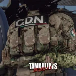 Multicam outfit Cartel [SP/FIVEM] Male mp 1