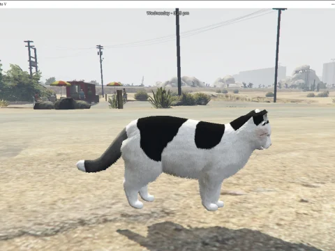My May cat from in real life v1.0