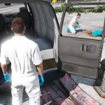 New Coroner [PED] 1.0