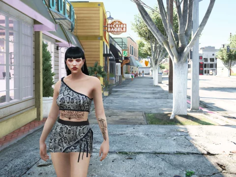 Animal Print Top 1.0