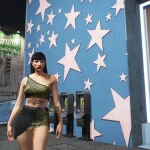 Animal Print Top 1.0