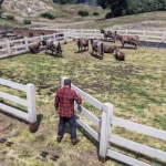 Big Farm Animals & Crops [YMAP] 1.0