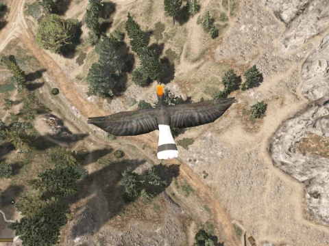 Retexture Hornbill for Flying Animals Mod 1.0
