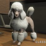 Coloured Poodles (Retexture) 1.0