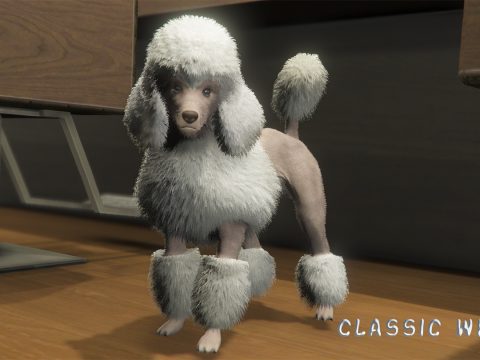 Coloured Poodles (Retexture) 1.0