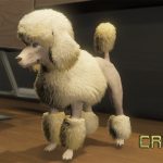 Coloured Poodles (Retexture) 1.0