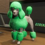 Coloured Poodles (Retexture) 1.0