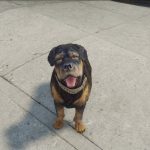 Older Chop Retexture 1.0