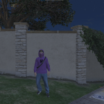 Ballas (Menyoo) 1.0