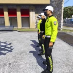 Turkish Traffic Police Ped 1.0