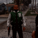 Homieguard [beta] BETA
