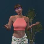 Punta Sunglasses for MP Male / Female 1.0