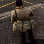 Camouflage bag for franklin 1.0