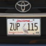 50 States + District of Columbia + 5 US Territories License Plates Pack [Addon & Replace] 1.7