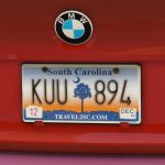 50 States + District of Columbia + 5 US Territories License Plates Pack [Addon & Replace] 1.7