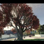Cherry Vegetation
