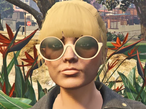 Piene Glasses for MP Male/Female 1.0