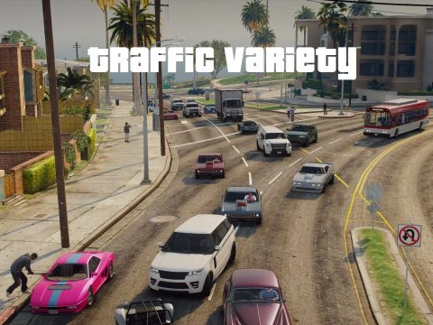 Traffic Variety 5.0