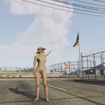 Ukraine Flag [SP / FiveM] 1.0