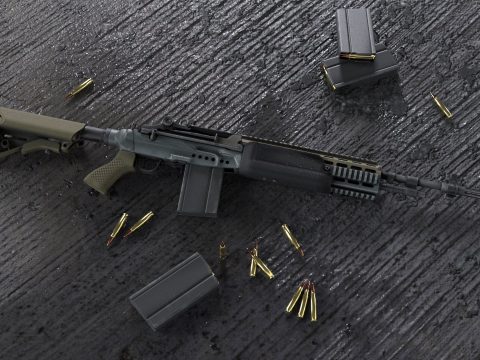 Insurgency Sandstorm MK14 EBR [Animated]