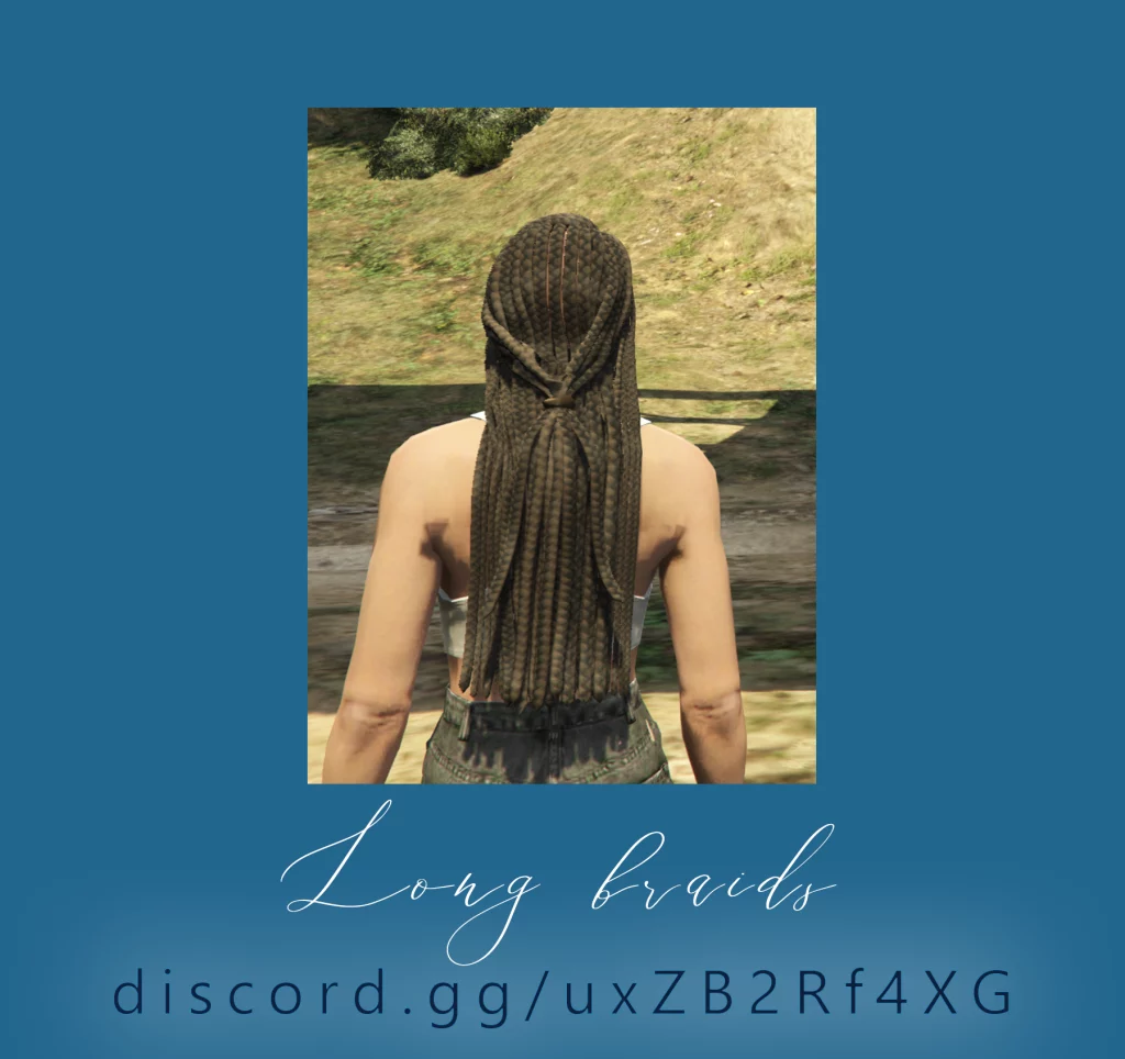 MP Female Long Braids 1.0