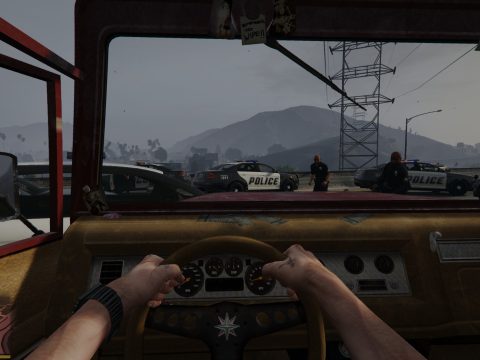 No Police Blips 1.1