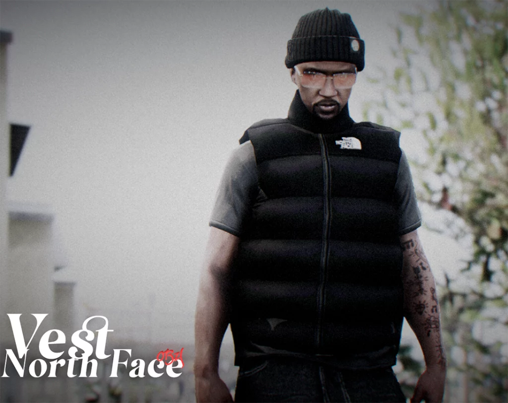 North Face Puffer Vest 1.0