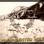 Remove Unwanted Weapons [.NET] 1.0 FINAL