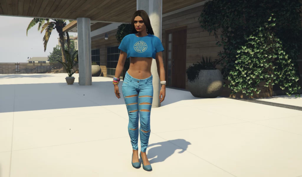 Top For MP Female 1.0 – GTA 5 mod