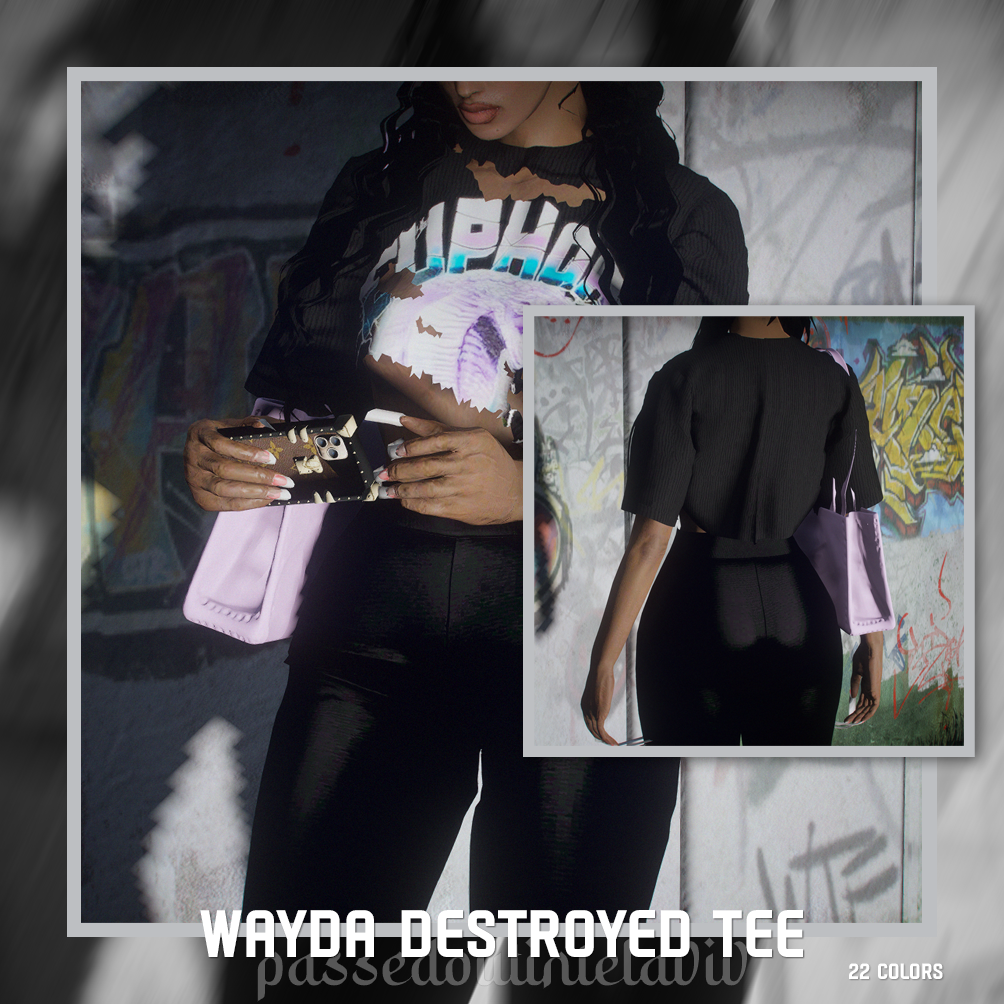 Wayda Destroyed Tee 1.0