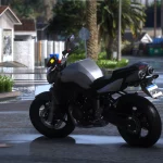 Yamaha Fazer 600 2008 [Add-On | Tuning] 1.0