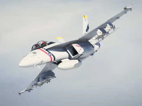F/A-18F Super Hornet [Add-On] 1.0