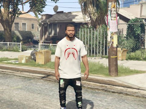 Designer Tshirt Pack For Franklin 1.0