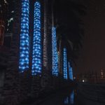 Diamond Casino Neon Palms 2.0