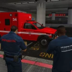 New Paramedics (ADDON/REPLACE) 1.0