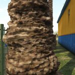 Old-Gen palm trees fix shaders 1.1 tessellation