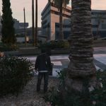 Old-Gen palm trees fix shaders 1.1 tessellation