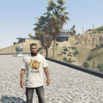 Rim shirt Franklin