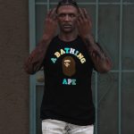 Bape T-shirts for MP Male V1.0