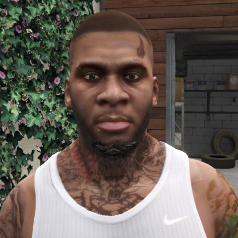 Diablo Frank (With Piercings) 1.0 – GTA 5 mod